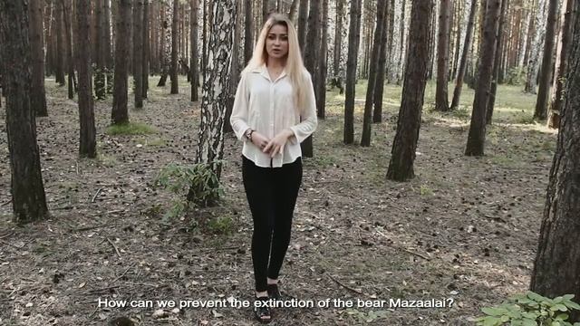 Люба - Гобийский бурый медведь (08.09.2016) смотреть онлайн