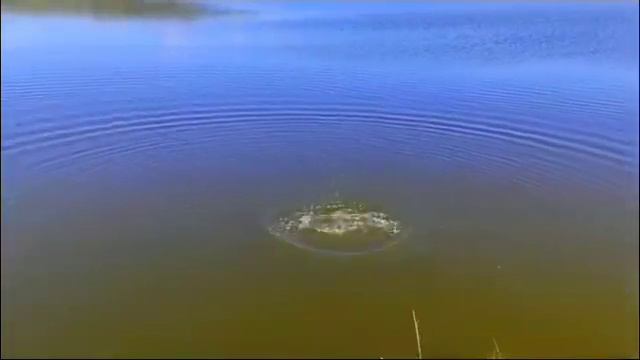 Леша Свик Луна смотреть онлайн