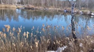 Поляризационные очки для рыбалки. Солнцезащитные очки для Рыбалки. Сонцезахисні Окуляри