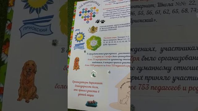 Истории спасённых животных 2018 смотреть онлайн