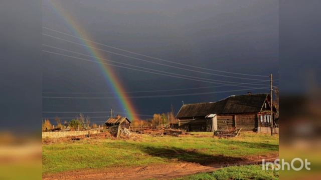Пение птиц после дождя! смотреть онлайн