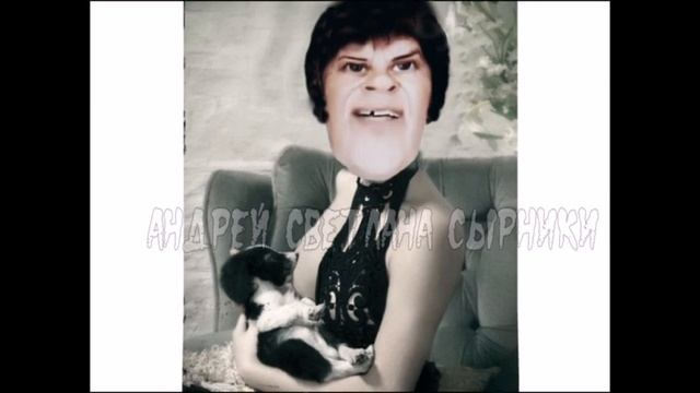 Любовь на камеру ! Купим кота ! смотреть онлайн