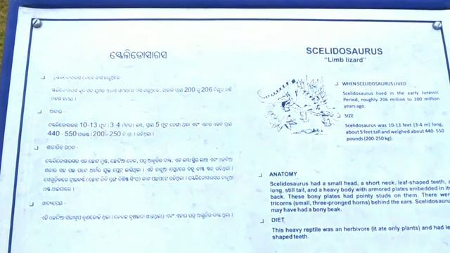 Dr. A.P.J Abdul Kalam Planetarium & Science Park Burla | Burla planetarium | #ScienceParkBurla смотреть онлайн