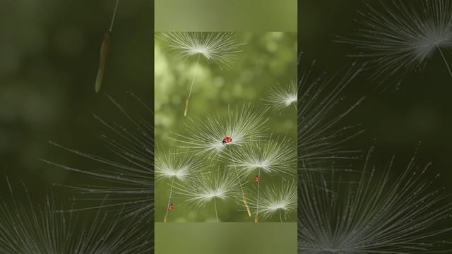 Как часто..?♀️..в оправдание..себя.. смотреть онлайн