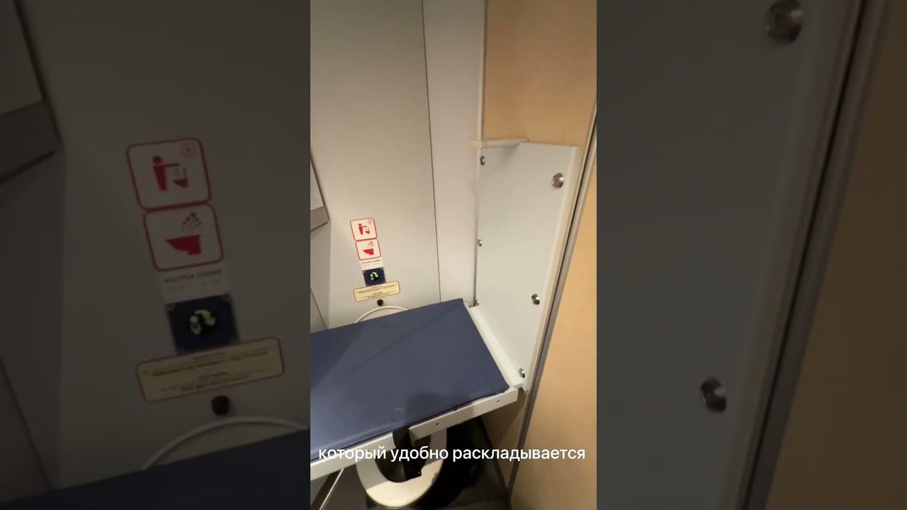 Семейный вагон в поезде САПСАН. Как путешествовать с детьми? #shorts #сапсан #москвапитер