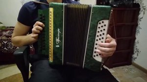 Одинокая ветка сирени.