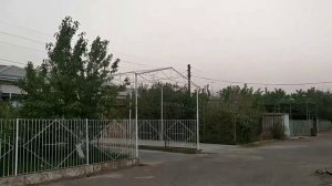 По родному городу