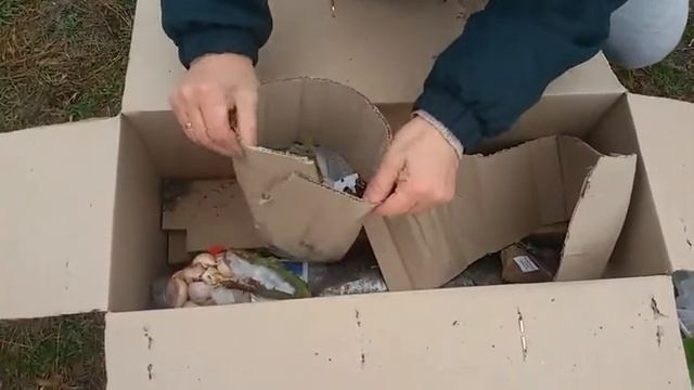 Отзыв Агромаркет (відгук)Лаванда яркого фиолетового цвета Матильда Лаванда узколистная белоснежная смотреть онлайн