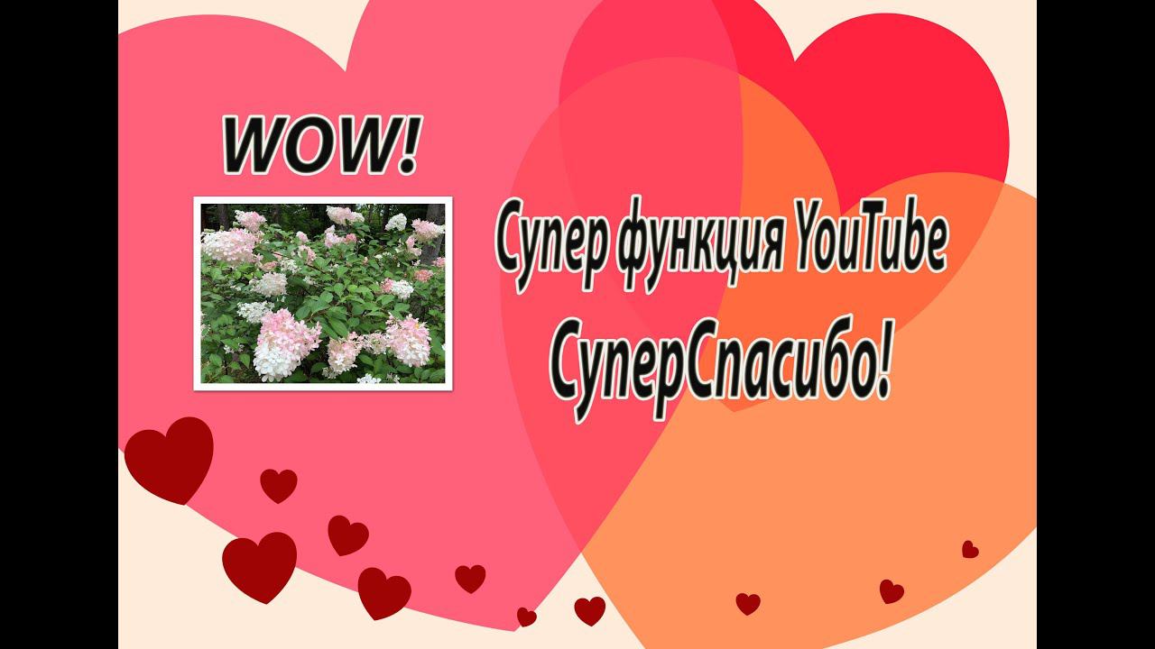 WOW! Супер функция YouTube. СуперСПАСИБО! смотреть онлайн