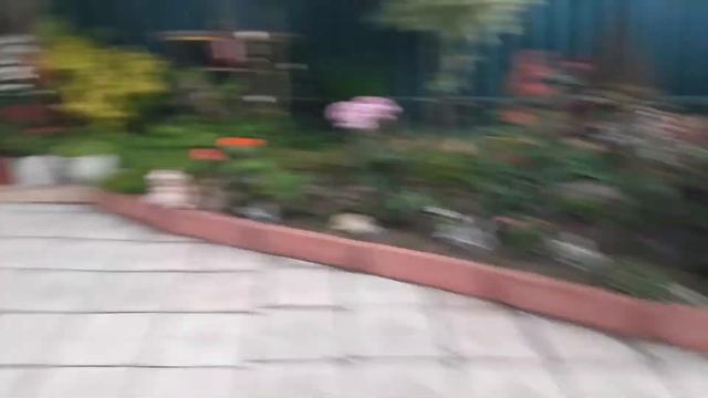 Как гром на даче смотреть онлайн