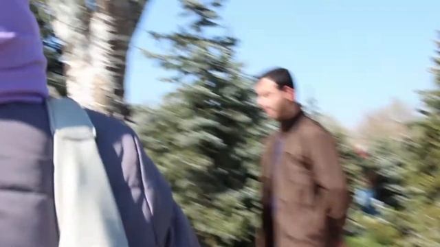 Туристы осматривают музей Геноцида и Мемориал Цицернакаберда смотреть онлайн