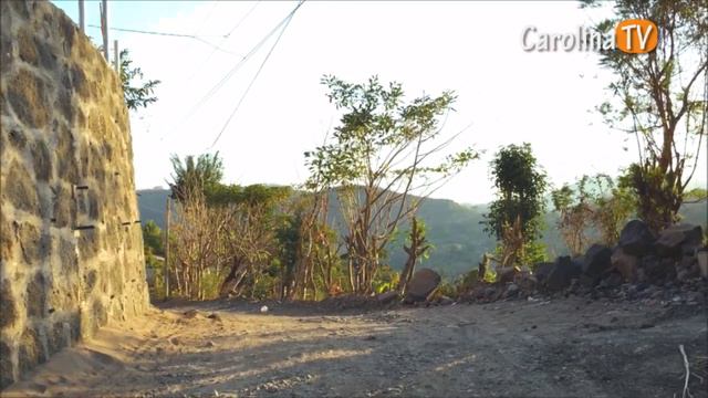 Cantón Rosas Nacaspilos en Carolina смотреть онлайн