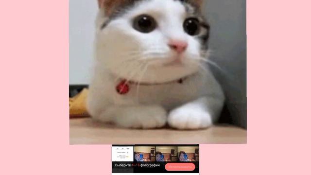 Как монтировать видео в Tempo?😼🗿 смотреть онлайн