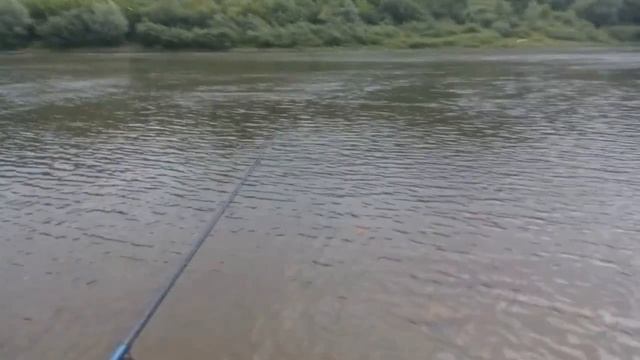ПЕРВЫЙ РАЗ НА РЫБАЛКЕ!.mp4 смотреть онлайн