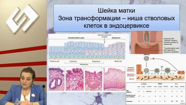 Патология ниш стволовых клеток в канцерогенезе рака. Демура Т.А, Коган Е.А смотреть онлайн
