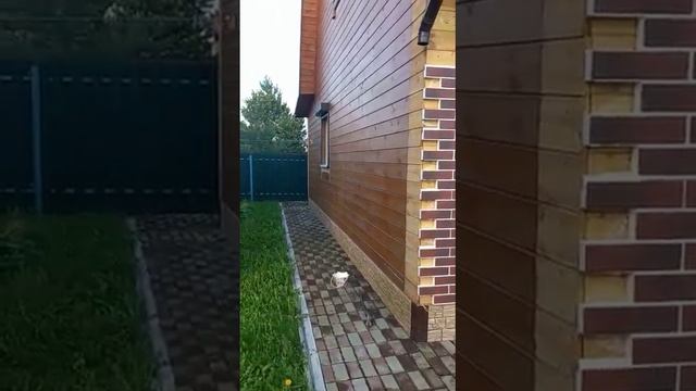 Союз Арболит смотреть онлайн