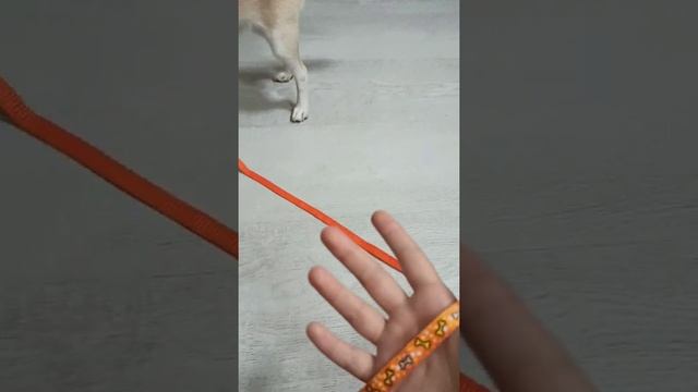 Делай Своими Руками