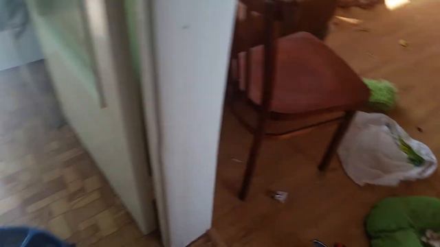 Собака остался один дома смотреть онлайн