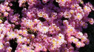 Как мы любили друг друга 1 - 4 серии | Мелодрама 2021