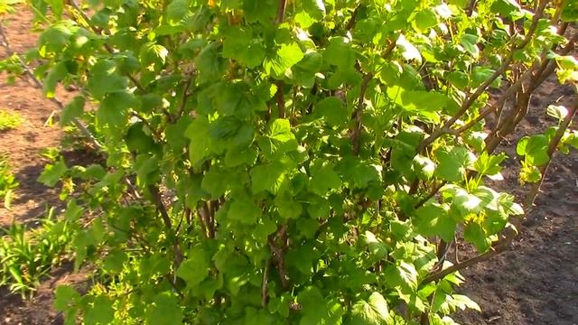 весна пришла смотреть онлайн