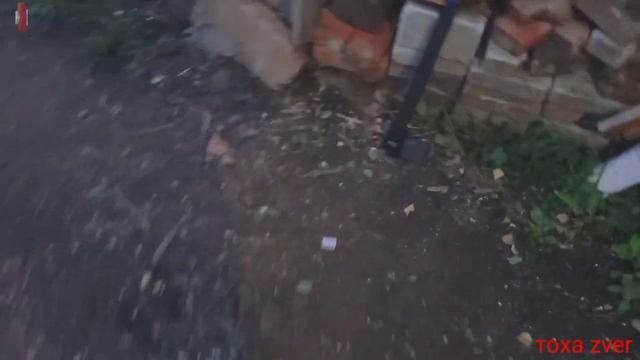 Обновился,купил топор-колун типа "Фискарс" и походный туриста на бор.Обзор смотреть онлайн