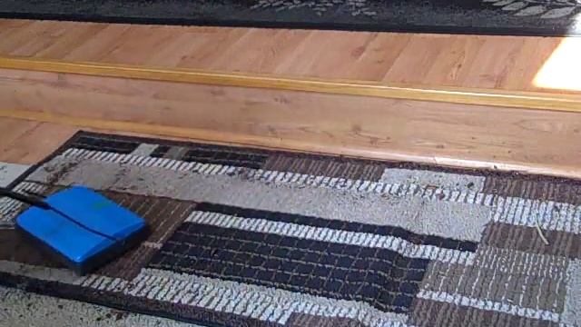 Bissell SweepUp Demo