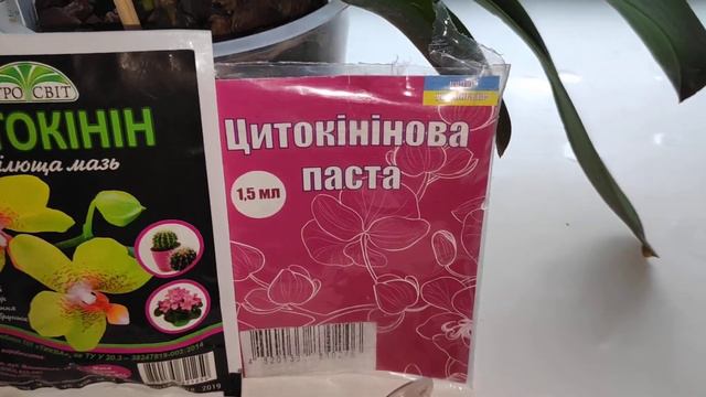 #ОРХИДЕИ#ПРОБУЖДЕНИЕ ПОЧЕК #ЦЫТОКИНИНОВАЯ ПАСТА# смотреть онлайн