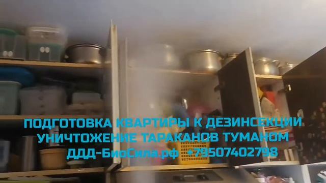 Подготовка: Уничтожение клопов холодным туманом +79507402798 ДДД БиоСила СЭС смотреть онлайн