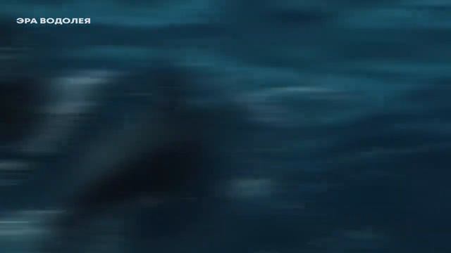 Какое будущее вас ждет смотреть онлайн