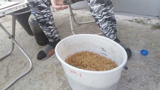 Грибные блоки для Дендры. Часть 1. смотреть онлайн