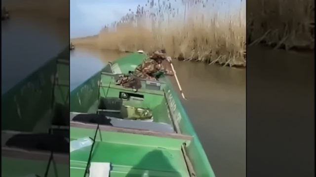 Вот это рыбалка!!! смотреть онлайн