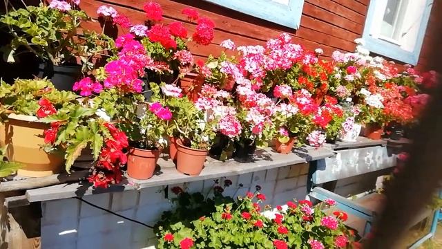 Завалинка, завалинка... смотреть онлайн