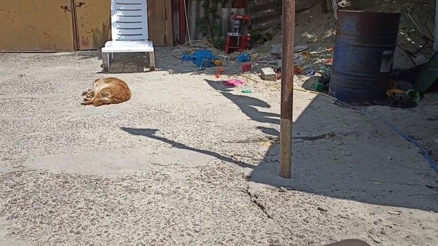 обзор на новые качели смотреть онлайн