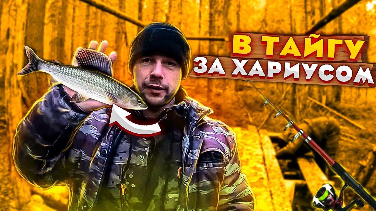 В тайгу за ХАРИУСОМ смотреть онлайн