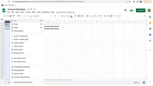 58 Data Import Wizard | Salesforce Administrator Training Videos by Sanjay Gupta смотреть онлайн
