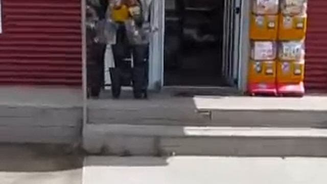 The Great EGGscape! смотреть онлайн