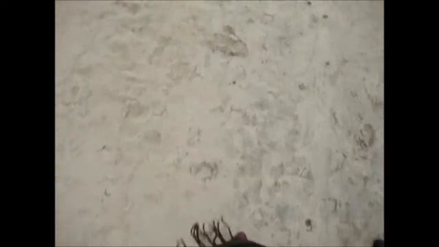 Первый фестиваль воздушных змеев в Казани