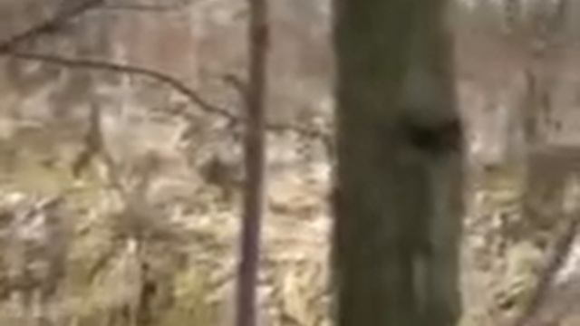 Одна из первых работ. смотреть онлайн