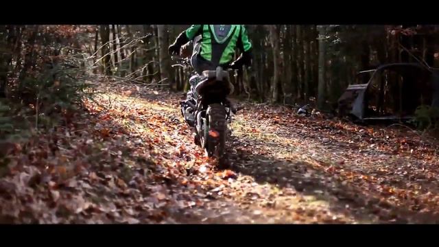 На спортаче в лесу 720p смотреть онлайн