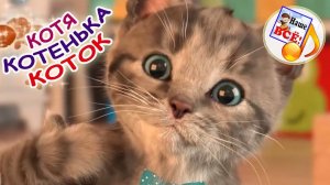 Котя-котенька, коток. Мульт-песенка потешка, видео для детей. Наше всё!