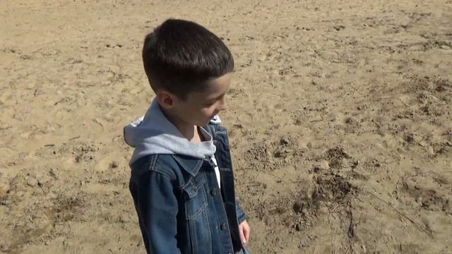 Зубровник в Токсово, катание на лошадях, веревочный парк смотреть онлайн