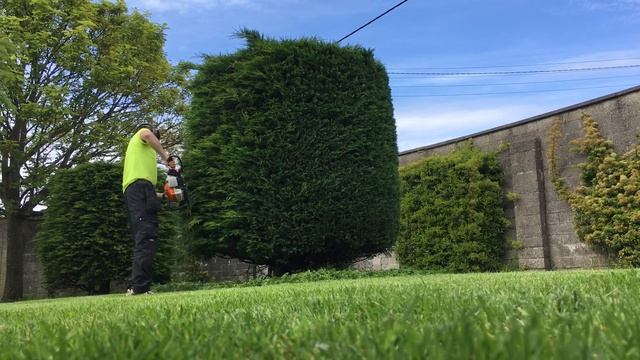 Stihl hs 82t leylandii trim смотреть онлайн