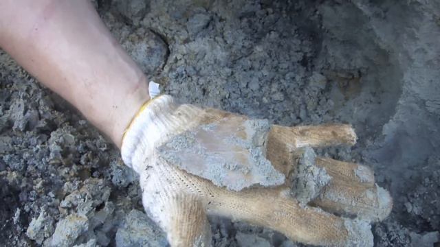 Digging for Megalodon Shark Teeth at a Summerville Land Site смотреть онлайн