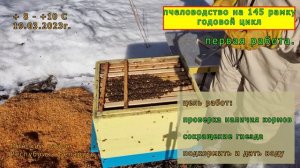 Пчеловодство на 145 рамку. Годовой цикл. Первая работа. 19 марта 2023 года.