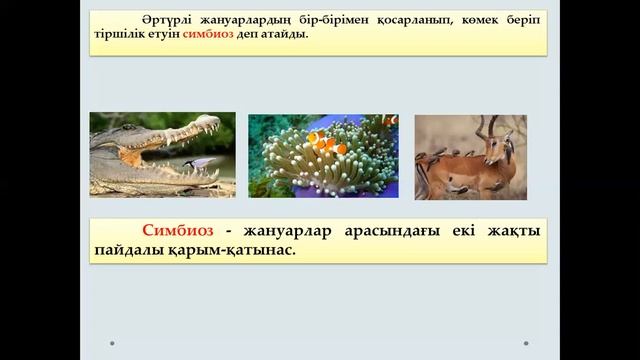 Жануарлар арасындағы қарым-қатынас 5 сынып, жаратылыстану смотреть онлайн