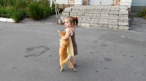 Тискаем кота