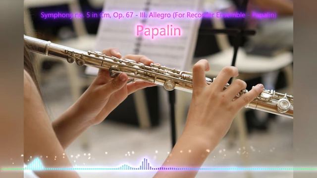 Symphony no. 5 in Cm, Op. 67 - III. Allegro (For Recorder Ensemble - Papalin) - Beethoven