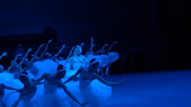 Swan Lake: Artemy Belyakov & Eva Sergeenkova (her Debut) Лебединое озеро (Беляков и Сергеенкова)