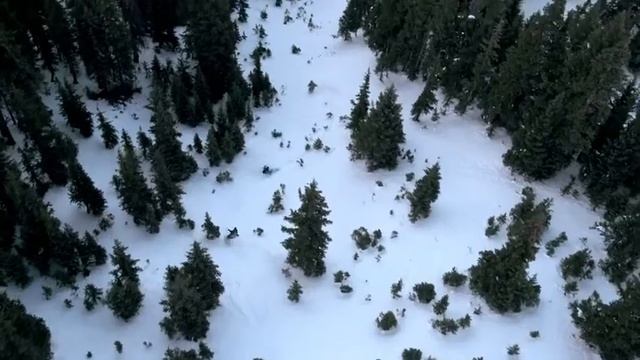 Killer Loop смотреть онлайн