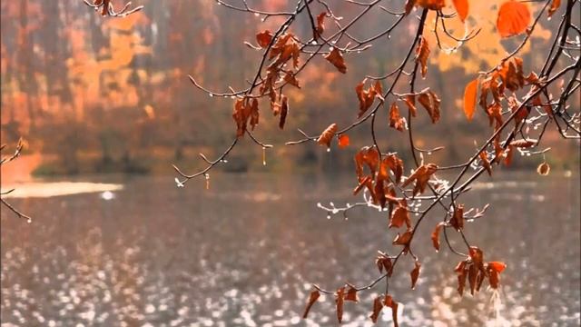 Народные приметы на третью декаду ноября. смотреть онлайн